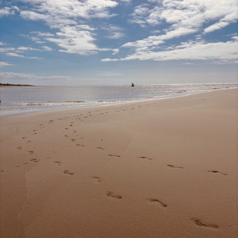 View of ocean from the beach at Sumner Bay in Christchurch