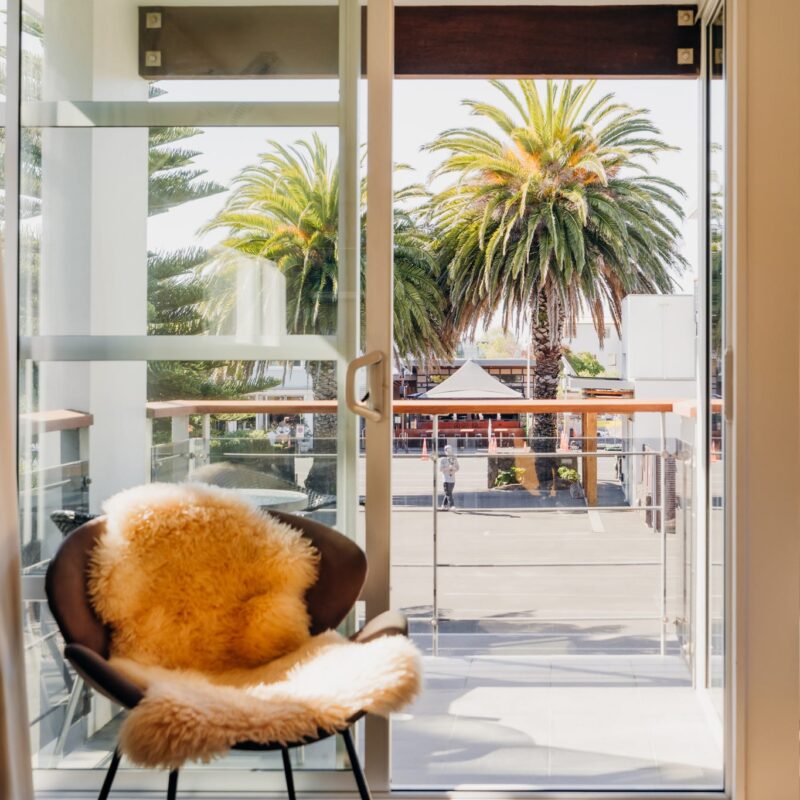 Balcony outlook over palm trees at Sumner Bay accommodation near the foreshore